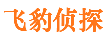 宝丰侦探公司